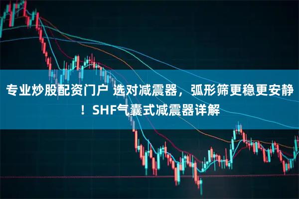 专业炒股配资门户 选对减震器，弧形筛更稳更安静！SHF气囊式减震器详解